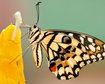thumb-image-2024-02-29T14:04:44.617Z