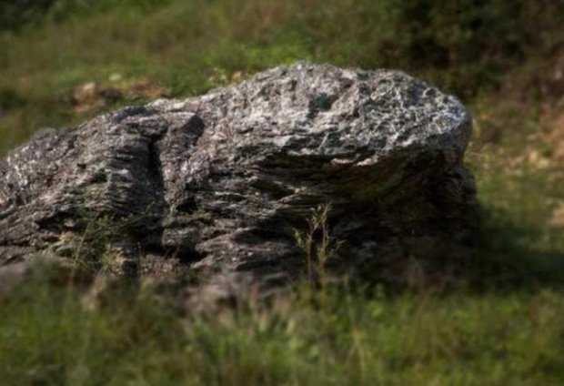 A pedra em formato de sapo que estaria protegendo o vilarejo. (Fonte: Oddity Central/Reprodução)