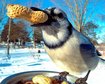 thumb-image-2024-02-29T14:04:45.695Z