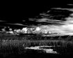 thumb-image-2024-02-29T14:04:46.594Z
