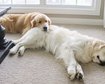 thumb-image-2024-02-29T14:04:46.254Z