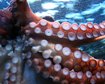 thumb-image-2024-02-29T14:04:46.606Z