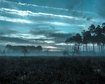 thumb-image-2024-02-29T14:04:46.644Z