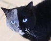 thumb-image-2024-02-29T14:04:46.670Z