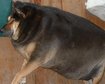 thumb-image-2024-02-29T14:04:47.058Z