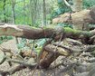 thumb-image-2024-02-29T14:04:47.391Z