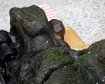 thumb-image-2024-02-29T14:04:47.357Z