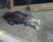 thumb-image-2024-02-29T14:04:47.338Z