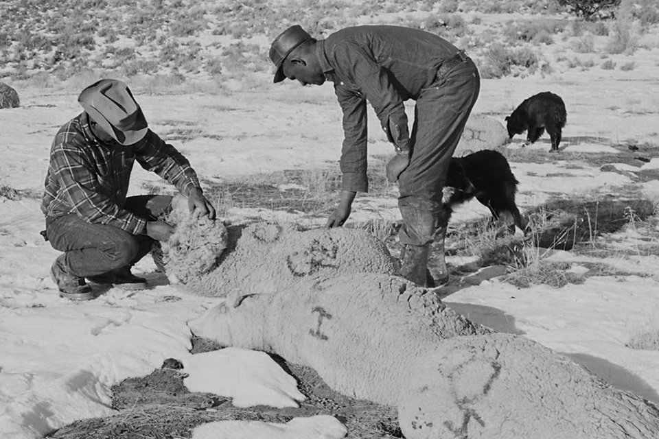Imagem de O incidente de Skull Valley no megacurioso