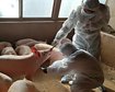 thumb-image-2024-02-29T14:04:47.703Z