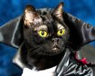 thumb-image-2024-02-29T14:04:48.279Z