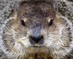 thumb-image-2024-02-29T14:04:48.494Z