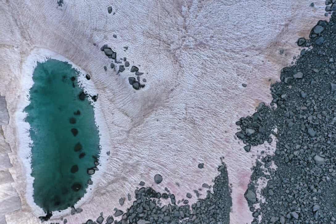 Imagem de Neve rosa misteriosa é descoberta nos Alpes no megacurioso