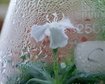 thumb-image-2024-02-29T14:04:48.593Z