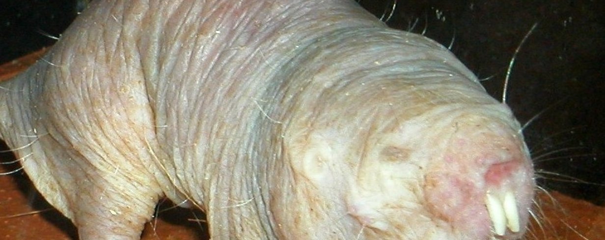 thumb-image-2024-02-29T14:04:48.840Z