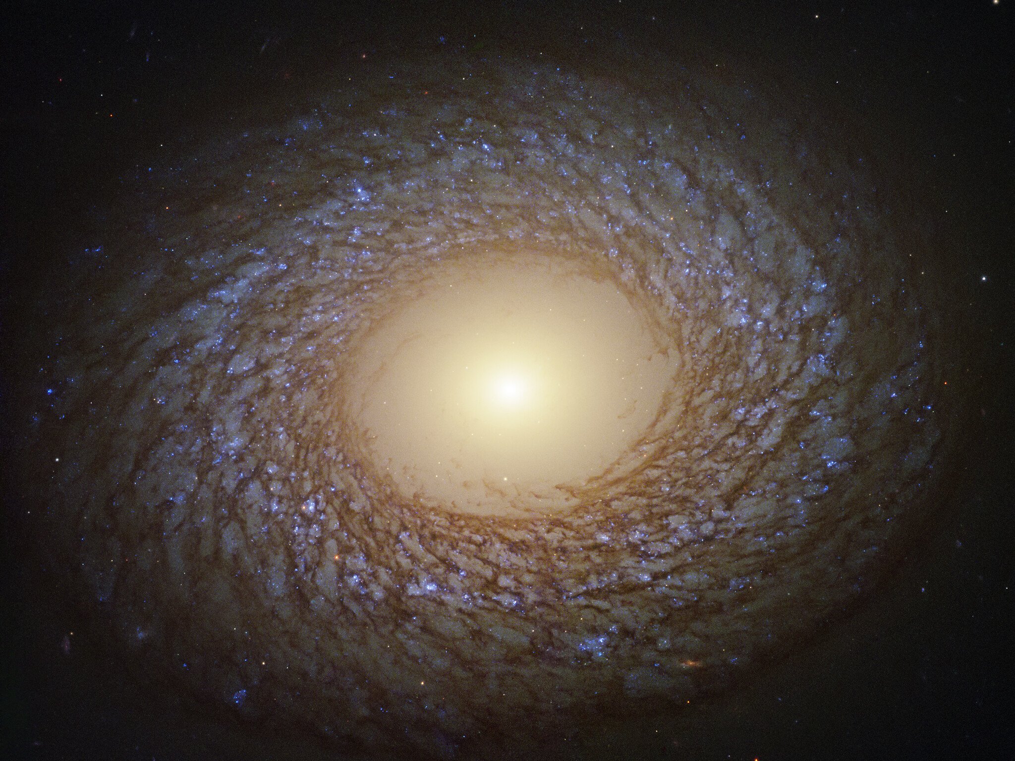 A emplumada e delicada galáxia NGC 2275 (Fonte: NASA/Reprodução)