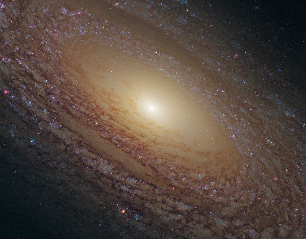 A NGC 2841 e sua arquitetura confusa (Fonte: Wikimedia Commons)