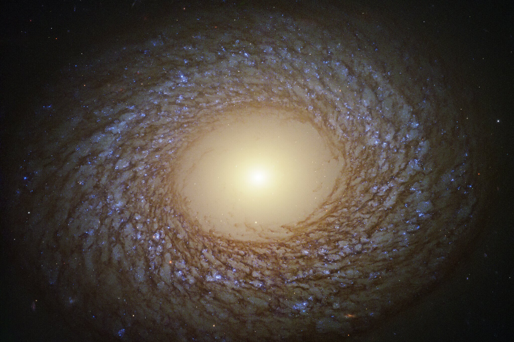 Imagem de Uma galáxia fofa e macia? Veja a nova descoberta do telescópio Hubble no megacurioso