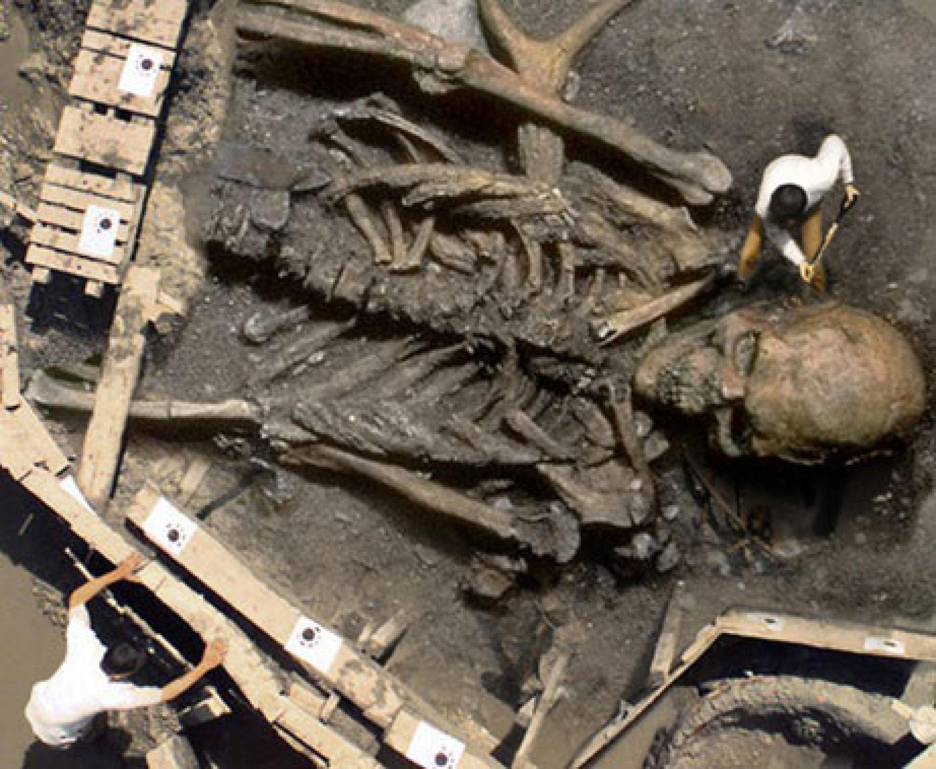 Suposto esqueleto gigante encontrado na Índia. (Ironkite/Reprodução)