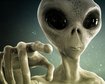 thumb-image-2024-02-29T14:04:49.473Z