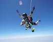 thumb-image-2024-02-29T14:04:49.418Z