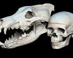 thumb-image-2024-02-29T14:04:49.605Z