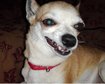thumb-image-2024-02-29T14:04:49.917Z