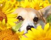 thumb-image-2024-02-29T14:04:50.277Z