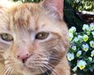 thumb-image-2024-02-29T14:04:50.531Z