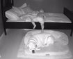 thumb-image-2024-02-29T14:04:50.699Z