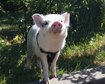 thumb-image-2024-02-29T14:04:50.678Z