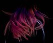 thumb-image-2024-02-29T14:04:51.106Z