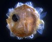 thumb-image-2024-02-29T14:04:51.331Z