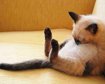 thumb-image-2024-02-29T14:04:51.594Z