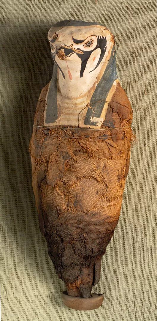 A múmia de falcão que representa Hórus. (Fonte: coleção do National Maritime Museum, Haifa)