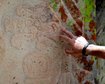 thumb-image-2024-02-29T14:04:52.341Z