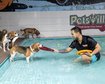 thumb-image-2024-02-29T14:04:52.220Z