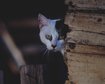 thumb-image-2024-02-29T14:04:52.857Z
