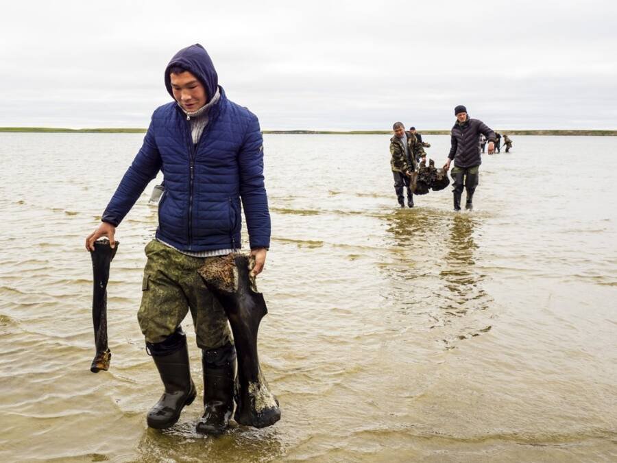 Os restos foram retirados do Lago Pechevalavato. (Fonte: Artem Cheremisov/Gov. of Yamalo-Nenets of Russia Press Office)