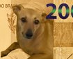 thumb-image-2024-02-29T14:04:53.326Z
