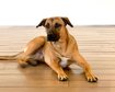 thumb-image-2024-02-29T14:04:53.457Z