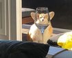 thumb-image-2024-02-29T14:04:53.525Z