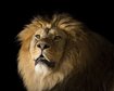 thumb-image-2024-02-29T14:04:53.546Z