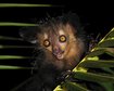 thumb-image-2024-02-29T14:04:53.903Z