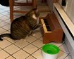 thumb-image-2024-02-29T14:04:54.268Z