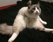 thumb-image-2024-02-29T14:04:54.715Z