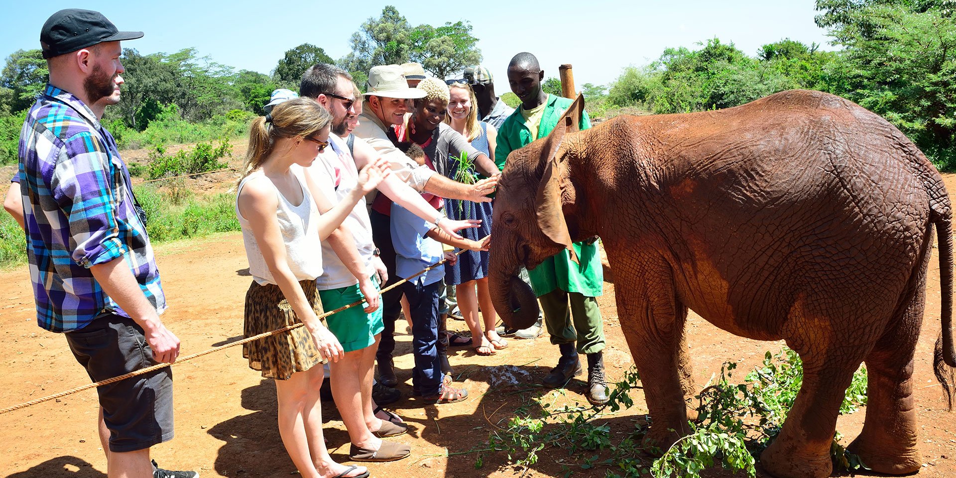 Turistas visitam orfanato de elefantes (Fonte: Magical Kenya/Divulgação)
