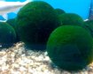thumb-image-2024-02-29T14:04:54.744Z