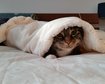thumb-image-2024-02-29T14:04:55.481Z