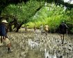 thumb-image-2024-02-29T14:04:55.336Z